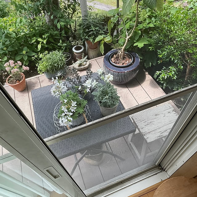 nobikoさんの部屋