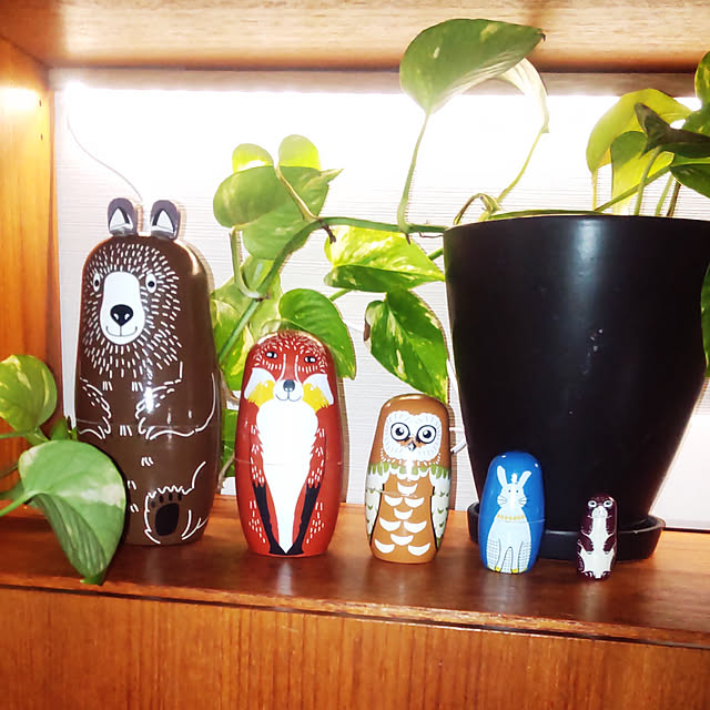 Akikoさんの実例写真