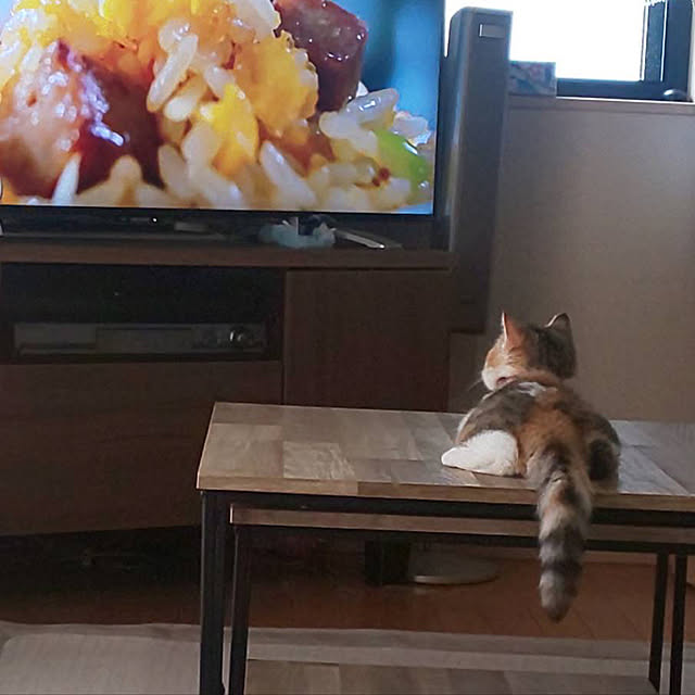 kinakoさんの実例写真