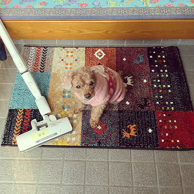haruminさんの実例写真