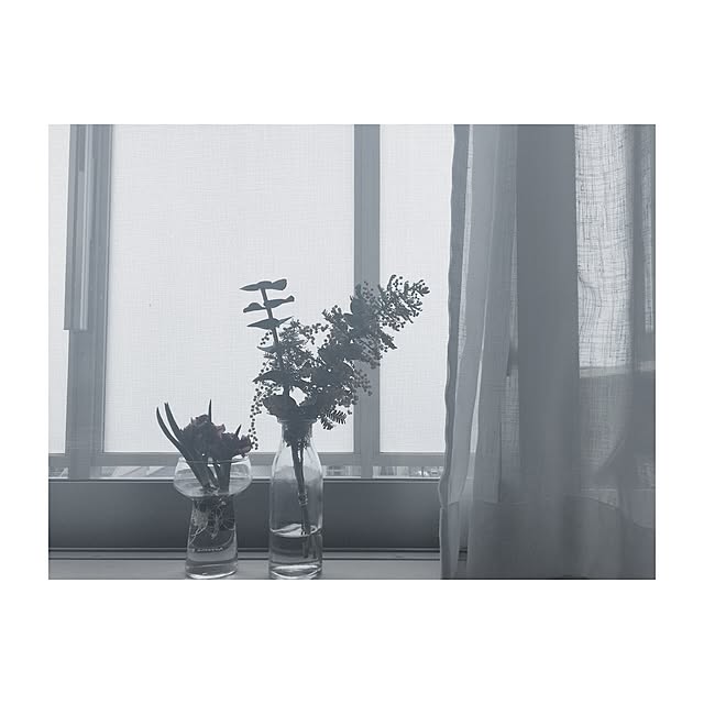 ベッド周り/観葉植物のインテリア実例 - 2017-04-01 22:43:39