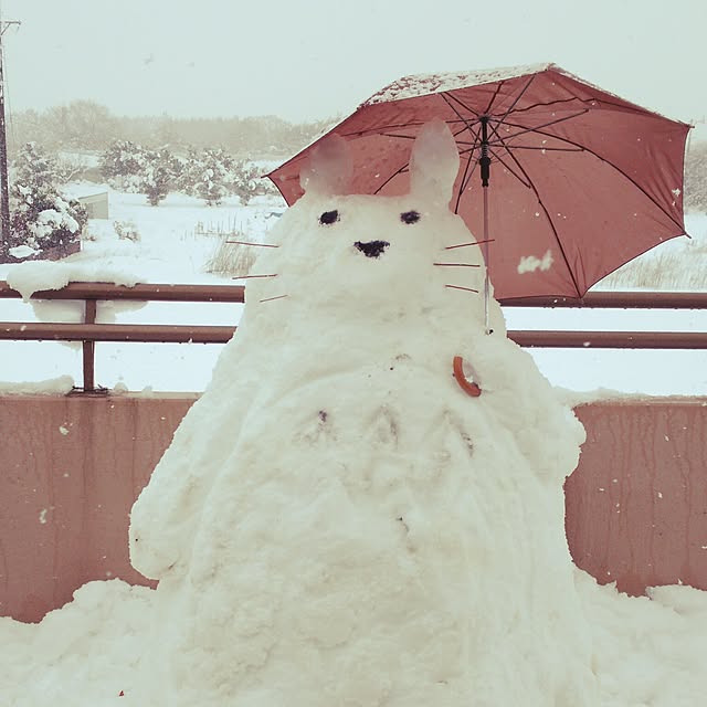 saoriさんの実例写真