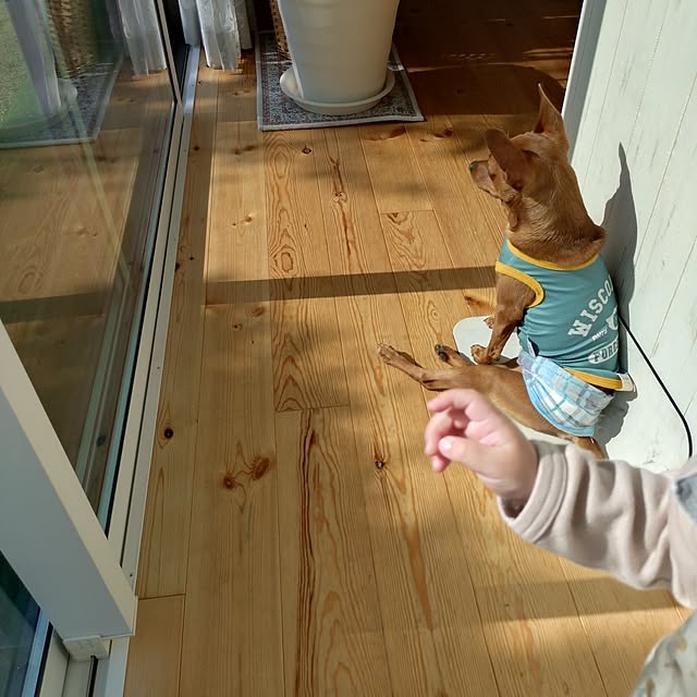 ri-eさんの実例写真