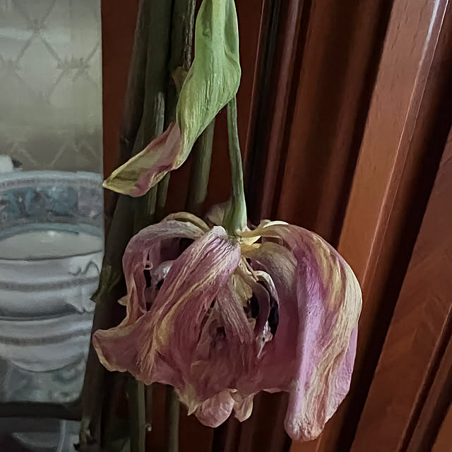 AYUKOさんの部屋