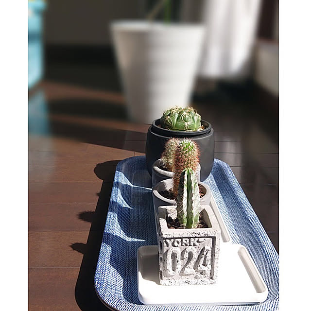 yukkin29さんの実例写真