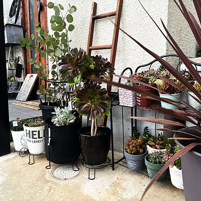 anko.hibuさんの部屋