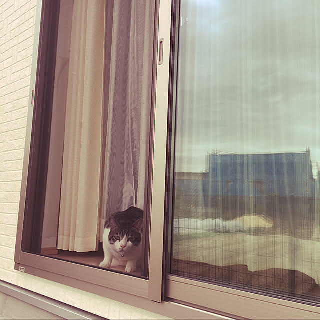 nomu2さんの実例写真