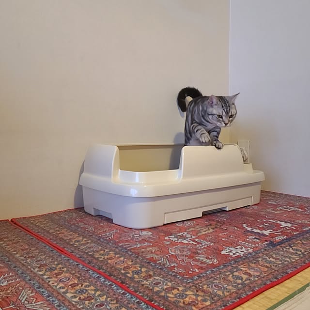 lovepeaceさんの部屋