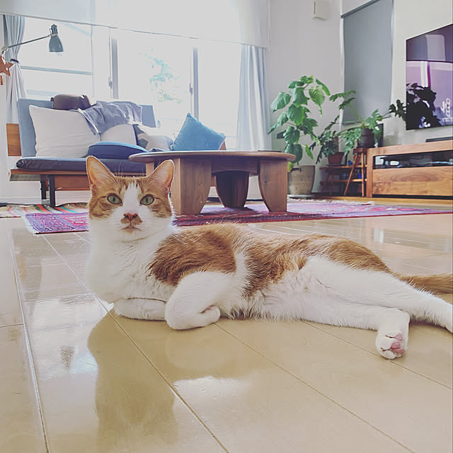 y.さんの実例写真
