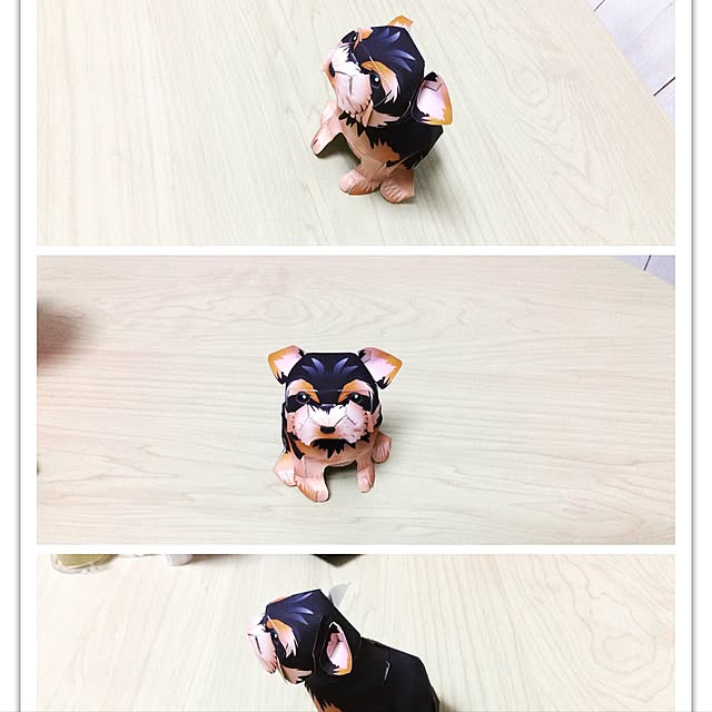 kirinさんの実例写真
