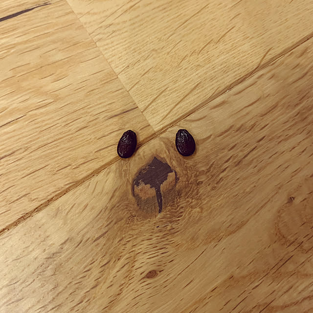 Minteaさんの部屋