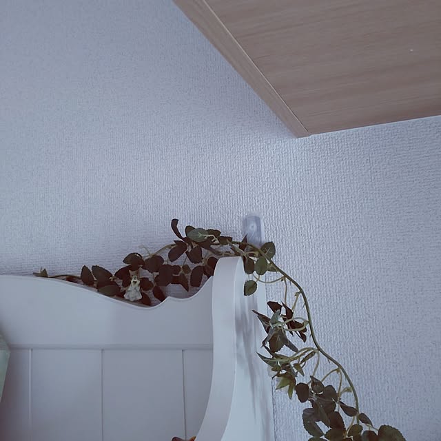 Bienvenueさんの部屋