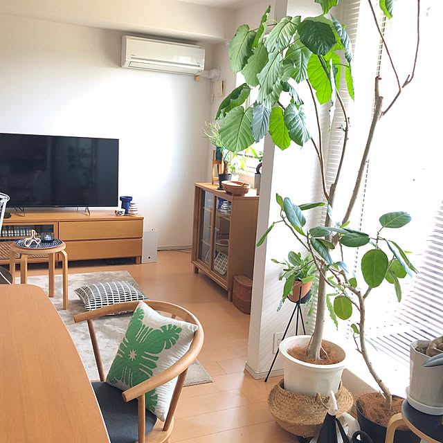 eriさんの実例写真