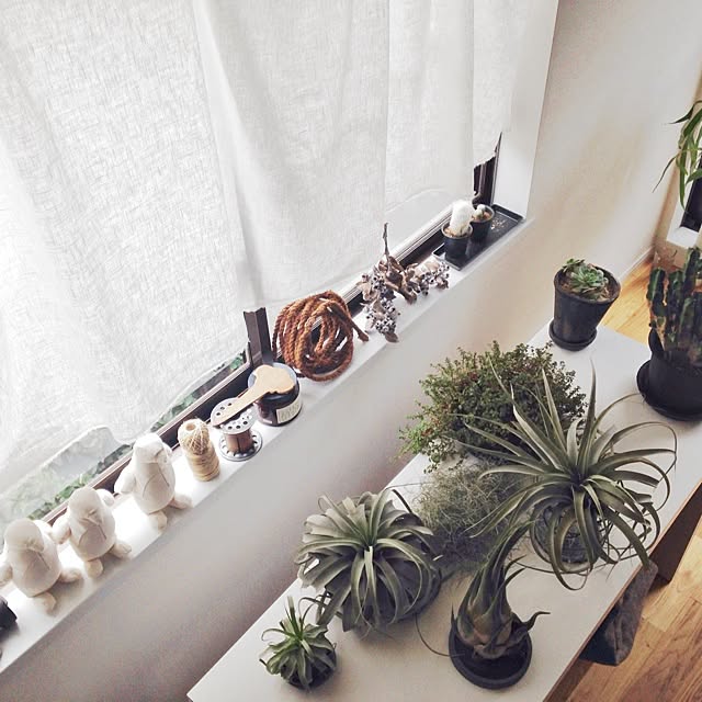 Atsushiさんの実例写真