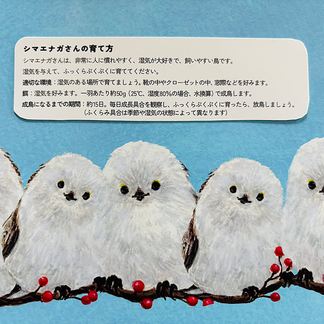 usagiさんの部屋