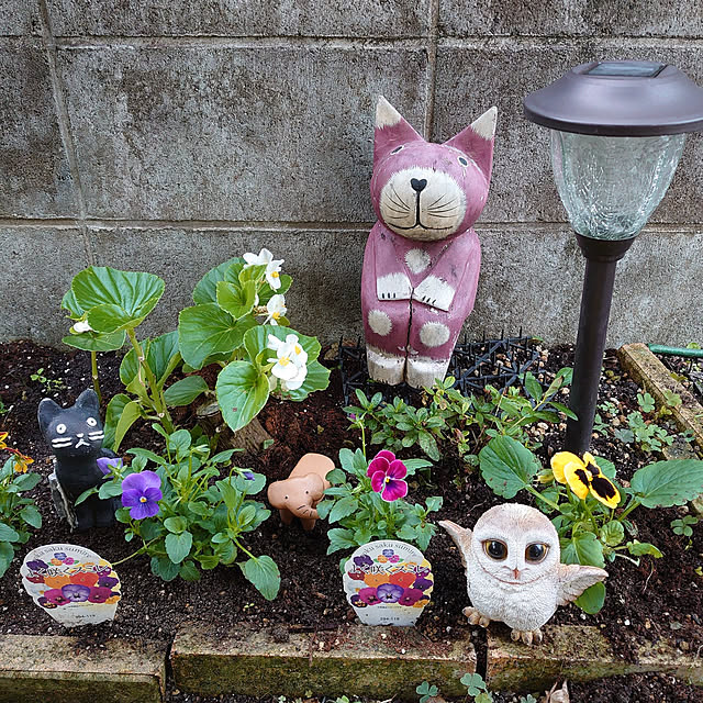 fukuさんの実例写真