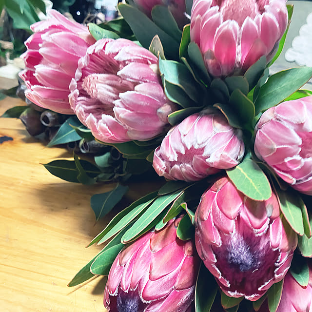 rojoさんの実例写真