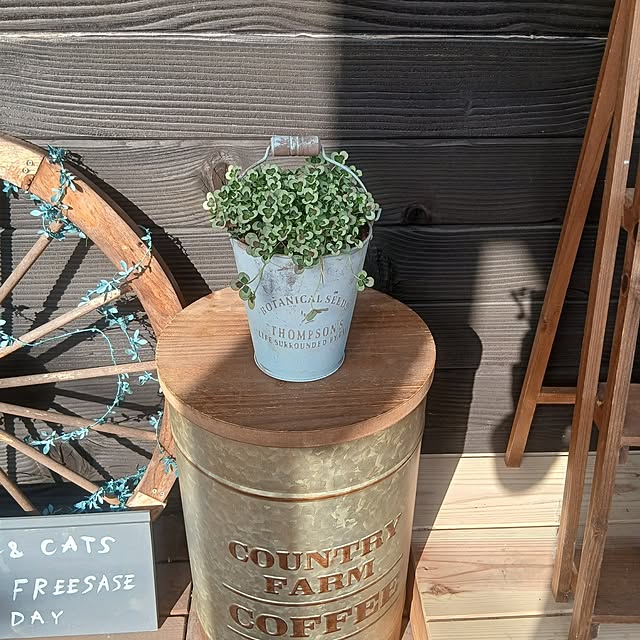 murasaki808さんの部屋