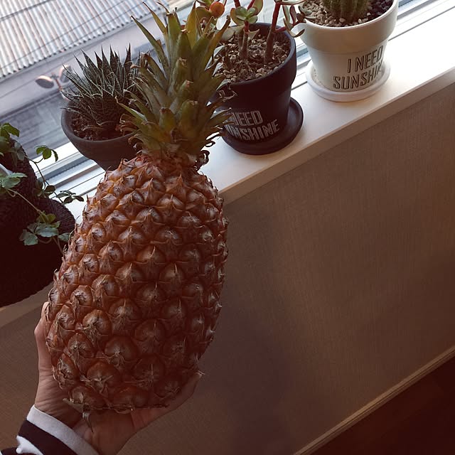 pandaxxさんの実例写真
