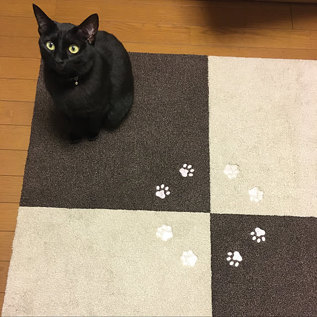 mame-minさんの実例写真