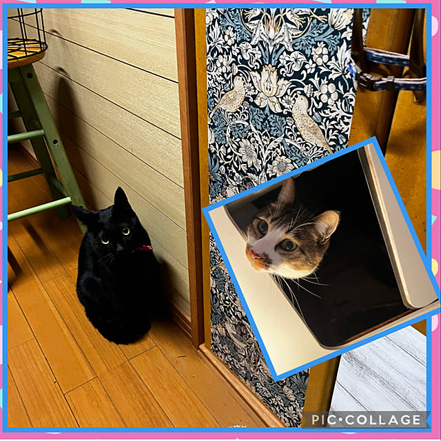 jijiさんの実例写真