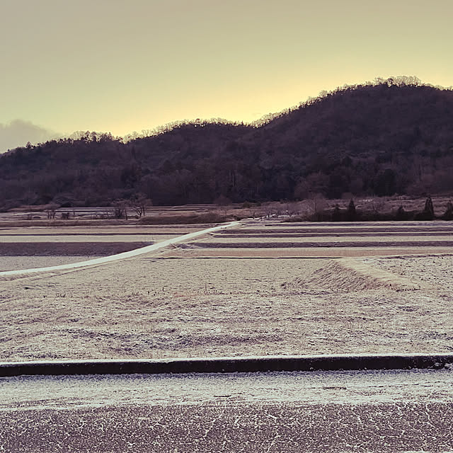 cota2さんの部屋