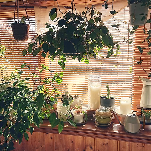 maryKayoさんの部屋