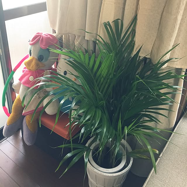 Harumiさんの実例写真