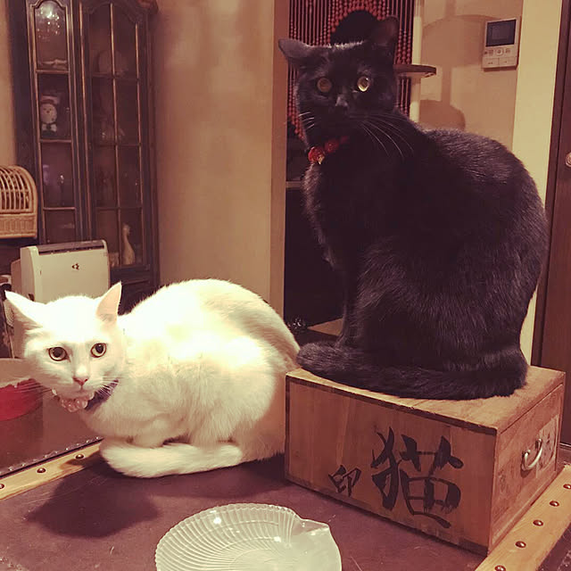 miさんの実例写真