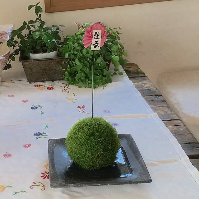 teddyさんの実例写真