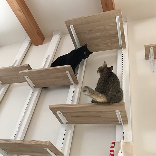 yuki0511さんの実例写真