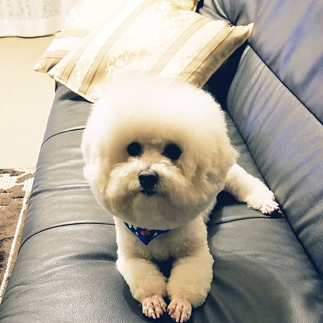 takoさんの実例写真