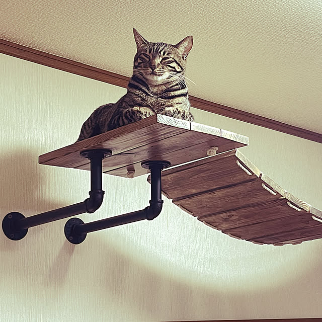 hookerさんの実例写真