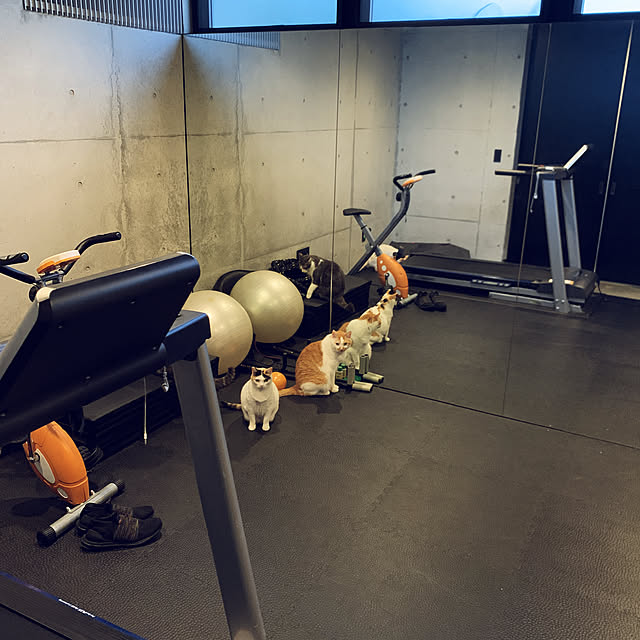 mashさんの実例写真