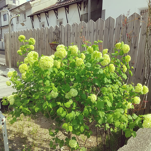 sachiさんの実例写真