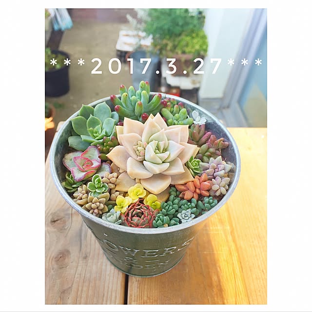 tumugi85さんの実例写真