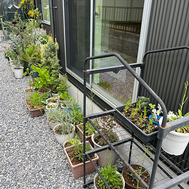 wataroomlifeさんの部屋