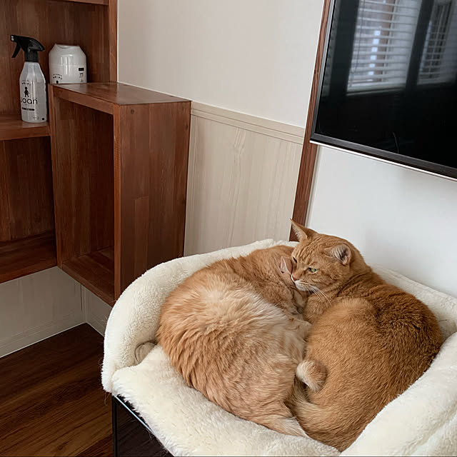 mikeume7さんの実例写真