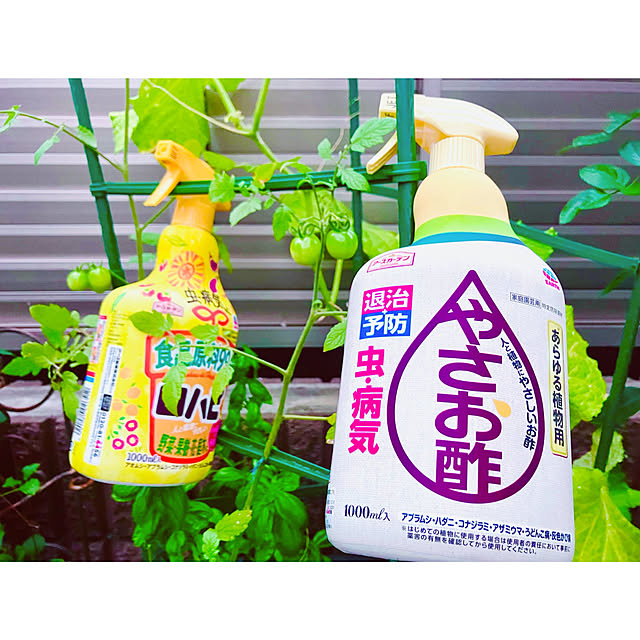 tinkunさんの実例写真