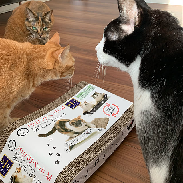 mikeume7さんの実例写真