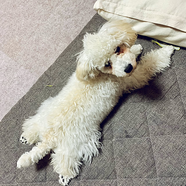 BUNさんの実例写真