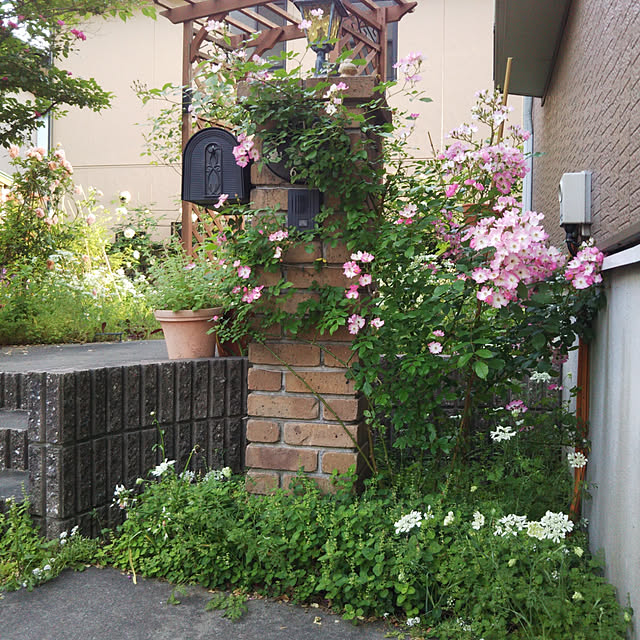 yum0408さんの実例写真