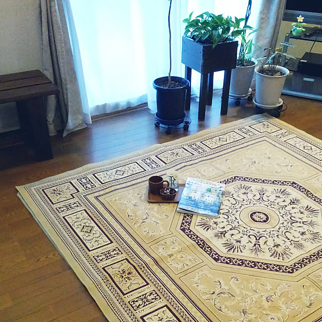 Renさんの実例写真