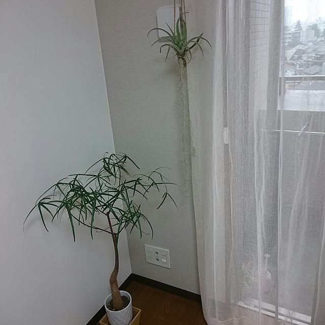 minaさんの実例写真
