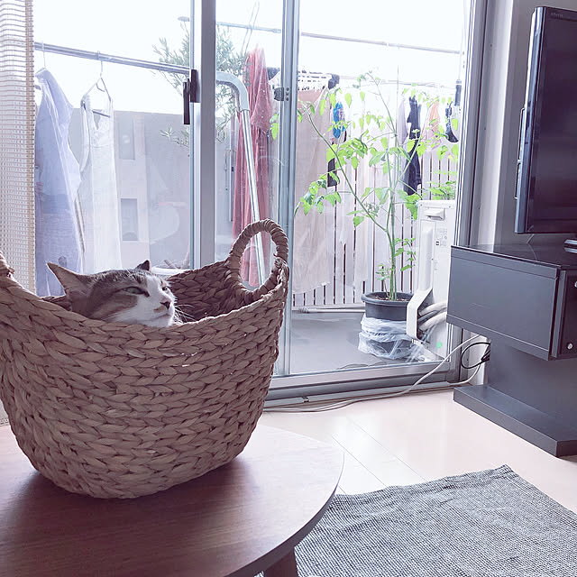 nekomiさんの実例写真