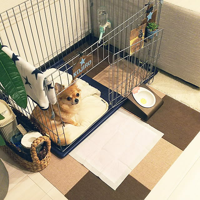 kojikojiさんの実例写真