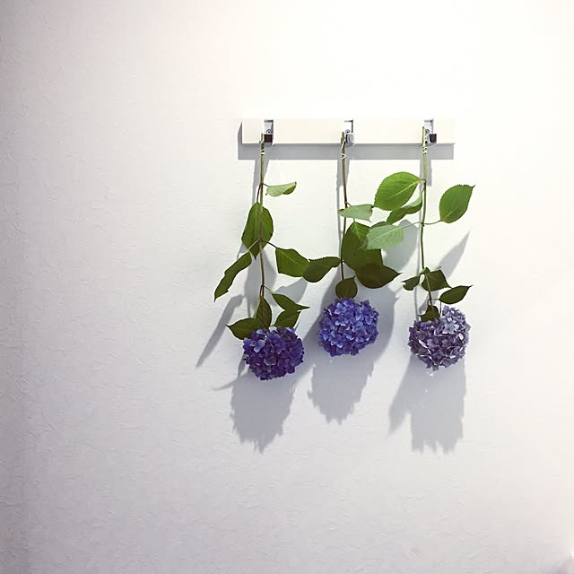kurikuma-kさんの実例写真