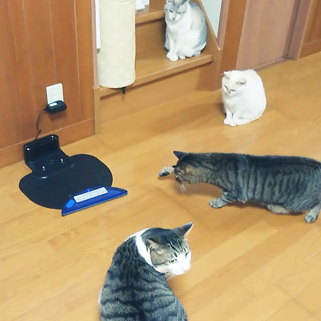 nachiさんの実例写真