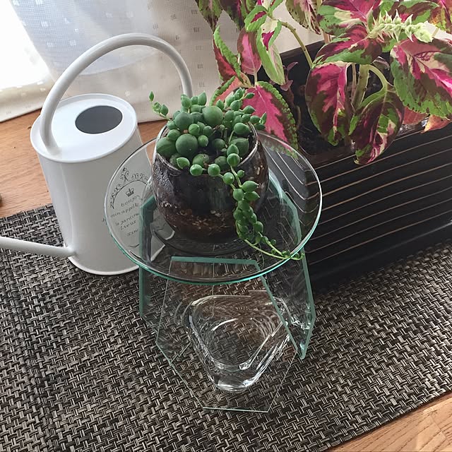 rinmayoさんの実例写真