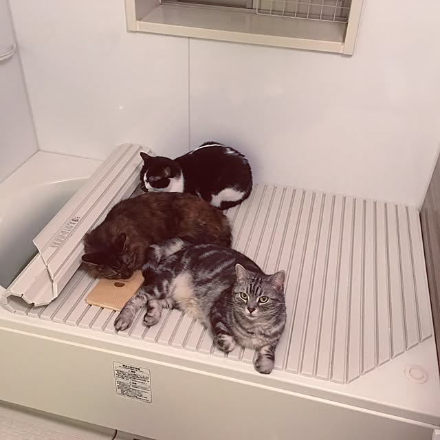 mikomaruさんの実例写真